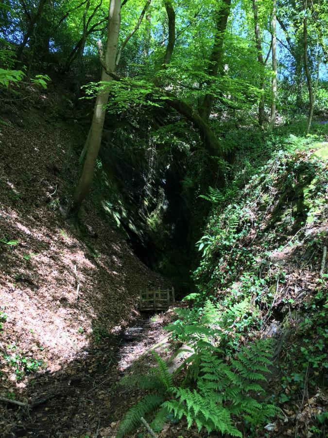 Hesperus Lodge Wellington  Zewnętrze zdjęcie